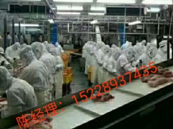 出國勞務 抓住國外雇主直招機遇，建筑工與工廠普工月薪高達3.5萬，天津移民與建筑工程新選擇